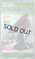 送料無料　[とうもろこし]　もちもち太郎パープル　1dl(約350粒)（株）大和農園