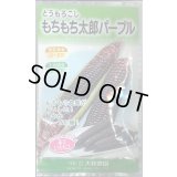 送料無料　[とうもろこし]　もちもち太郎パープル　1dl(約350粒)（株）大和農園