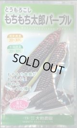 送料無料　[とうもろこし]　もちもち太郎パープル　1dl(約350粒)（株）大和農園