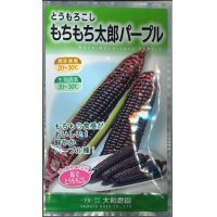 [とうもろこし]　もちもち太郎パープル　20ml（約70粒）　大和農園