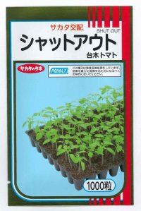 [台木/トマト用]　送料無料！　シャットアウト　 1000粒　サカタ交配