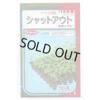送料無料 [台木/トマト用] シャットアウト 1000粒 (株)サカタのタネ