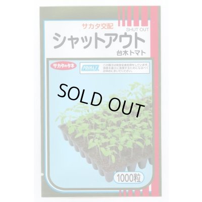 画像1: 送料無料 [台木/トマト用] シャットアウト 1000粒 (株)サカタのタネ