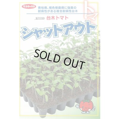 画像2: 送料無料 [台木/トマト用] シャットアウト 1000粒 (株)サカタのタネ