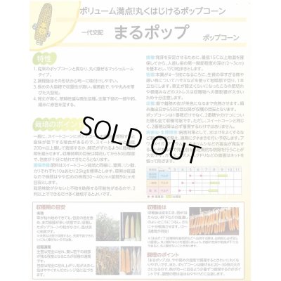 画像4: 送料無料　[とうもろこし]　まるポップ　200粒　(株)サカタのタネ