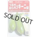 送料無料　[かぼちゃ]　マッチャン　約8粒　(株)サカタのタネ　実咲450(002871)
