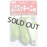 送料無料　[かぼちゃ]　マッチャン　約8粒　(株)サカタのタネ　実咲450(002871)