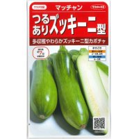 [かぼちゃ]　マッチャン　約8粒　サカタ交配（実咲シリーズ）