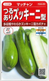 [かぼちゃ]　マッチャン　約8粒　サカタ交配（実咲シリーズ）