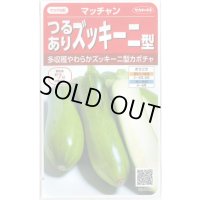送料無料　[かぼちゃ]　マッチャン　約8粒　(株)サカタのタネ　実咲450(002871)