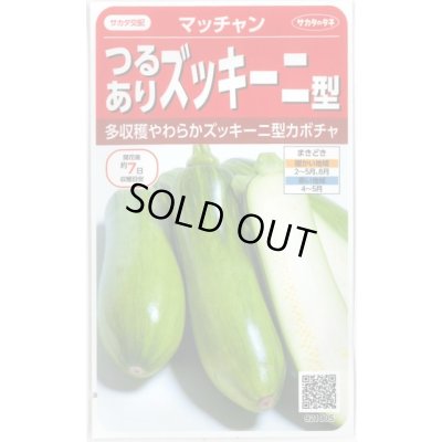 画像1: 送料無料　[かぼちゃ]　マッチャン　約8粒　(株)サカタのタネ　実咲450(002871)