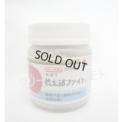 画像1: 送料無料　[トマト/桃太郎系]　桃太郎ファイト　1000粒　2L　ペレット種子　タキイ種苗(株)