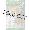 送料無料　キャンディーランタン　100粒　大和農園