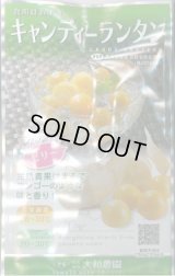 送料無料　キャンディーランタン　100粒　（株）大和農園