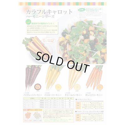 画像2: 送料無料　[人参]　オレンジハーモニー　1000粒　丸種(株)