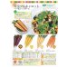 画像2: 送料無料　[人参]　イエローハーモニー　1000粒　丸種(株) (2)