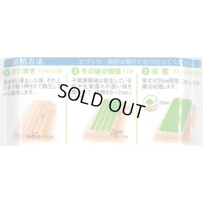画像2: [ほうれんそう] 晩抽サマースカイ 小袋(30ml) タキイ種苗(株) RF