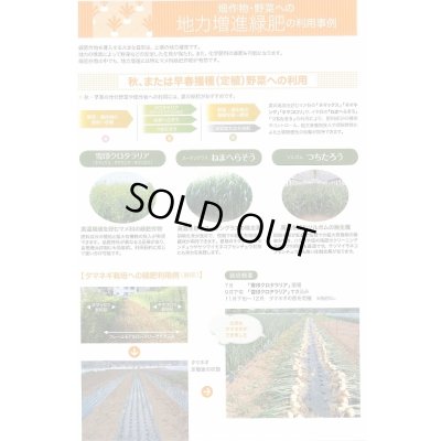 画像6: [緑肥]　ねまへらそう　(ス-パーダン2)　1kg　雪印種苗(株)