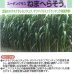 画像3: [緑肥]　ねまへらそう　(ス-パーダン2）　1kg 　雪印種苗株式会社 (3)