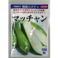 送料無料 [かぼちゃ] マッチャン 100粒 (株)サカタのタネ