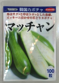 送料無料 [かぼちゃ] マッチャン 100粒 (株)サカタのタネ