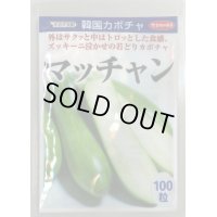 [かぼちゃ]　マッチャン　100粒　サカタ交配