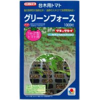 [台木/トマト用]　送料無料！　グリーンフォース　 1000粒　タキイ種苗（株）