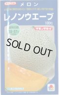 送料無料　[メロン]　レノンウェーブ　100粒　タキイ種苗(株)