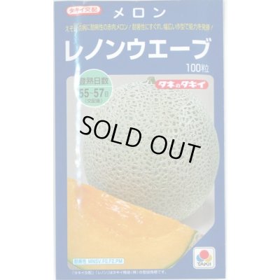 画像1: 送料無料　[メロン]　レノンウェーブ　100粒　タキイ種苗(株)