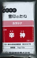 [緑肥]　チャガラシ　辛神　500g　雪印種苗(株)