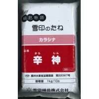 [緑肥]　チャガラシ　辛神　500g　雪印種苗（株）