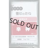 [緑肥] チャガラシ 辛神 500g 雪印種苗(株)