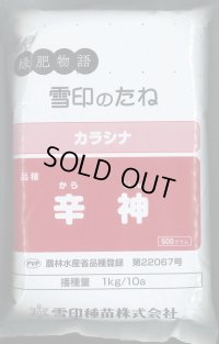 [緑肥] チャガラシ 辛神 500g 雪印種苗(株)