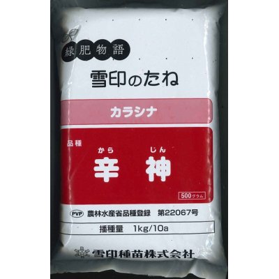 画像1: [緑肥]　チャガラシ　辛神　500g　雪印種苗（株）