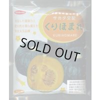 送料無料　[かぼちゃ]　くりほまれ　500粒　(株)サカタのタネ