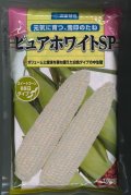 送料無料[とうもろこし]　ピュアホワイトSP　2000粒　雪印種苗