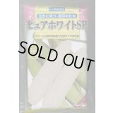 送料無料[とうもろこし]　ピュアホワイトSP　2000粒　雪印種苗（株）