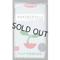 送料無料　[牛蒡]　ダイエット　1L　(株)サカタのタネ