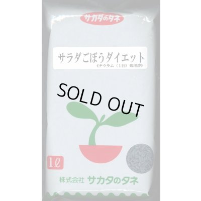 画像1: 送料無料　[牛蒡]　ダイエット　1L　(株)サカタのタネ