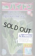 [ほうれんそう]　ハイドン　種子サイズ：M　3万粒　（株）サカタのタネ
