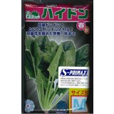 [ほうれんそう]　ハイドン　種子サイズ：M　3万粒　（株）サカタのタネ