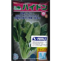 [ほうれんそう]　ハイドン　種子サイズ：M　3万粒　（株）サカタのタネ