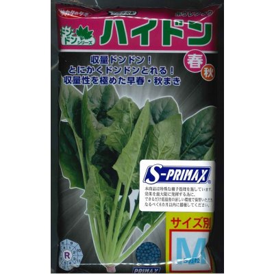 画像1: [ほうれんそう]　ハイドン　種子サイズ：M　3万粒　（株）サカタのタネ