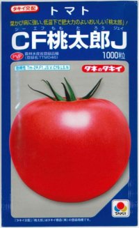 [トマト/桃太郎系]　送料無料！　CF桃太郎J　1000粒　