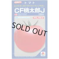 送料無料　[トマト/桃太郎系]　CF桃太郎J　1000粒