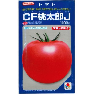 画像1: [トマト/桃太郎系]　送料無料！　CF桃太郎J　1000粒　