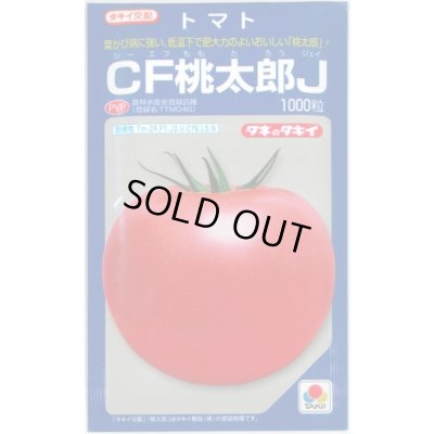 画像1: 送料無料　[トマト/桃太郎系]　CF桃太郎J　1000粒