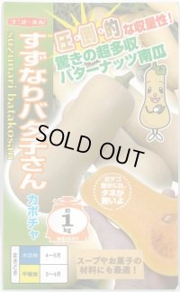 送料無料　[かぼちゃ]　すずなりバタ子さん　6粒　ナント種苗(株)