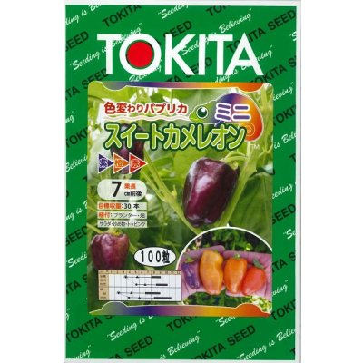 画像1: 送料無料　[パプリカ]　ミニパプリカ　スイートカメレオン　100粒　トキタ種苗(株)