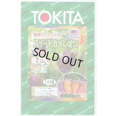 画像1: 送料無料　[パプリカ]　ミニパプリカ　スイートカメレオン　100粒　トキタ種苗(株)